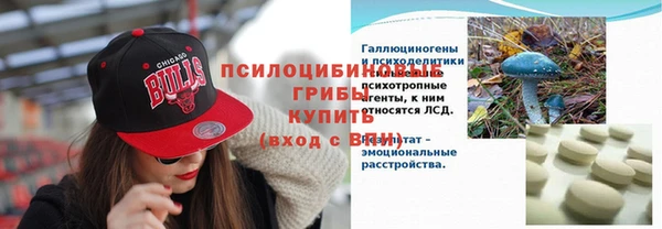 ПСИЛОЦИБИНОВЫЕ ГРИБЫ Алексеевка