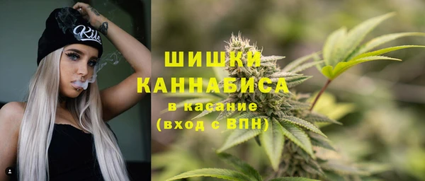 ПСИЛОЦИБИНОВЫЕ ГРИБЫ Алексеевка