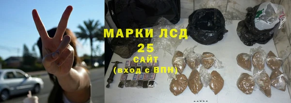 ПСИЛОЦИБИНОВЫЕ ГРИБЫ Алексеевка