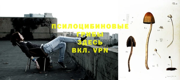 ПСИЛОЦИБИНОВЫЕ ГРИБЫ Алексеевка