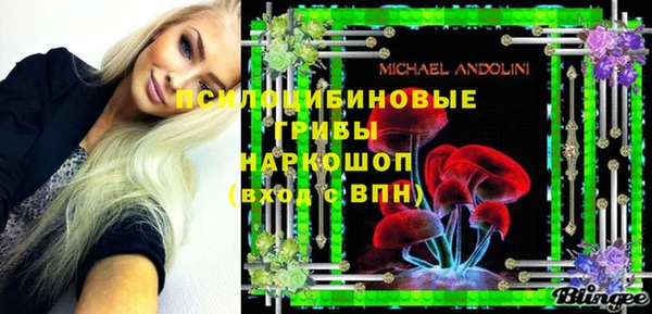 ПСИЛОЦИБИНОВЫЕ ГРИБЫ Алексеевка