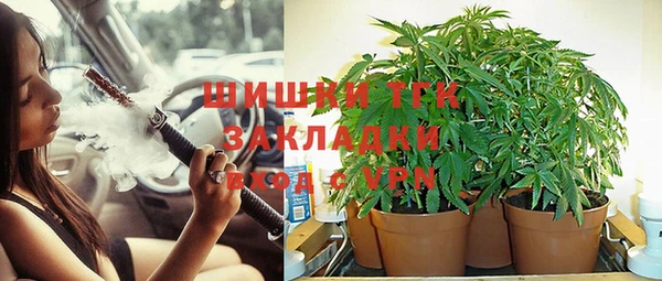 прущие крисы Алзамай