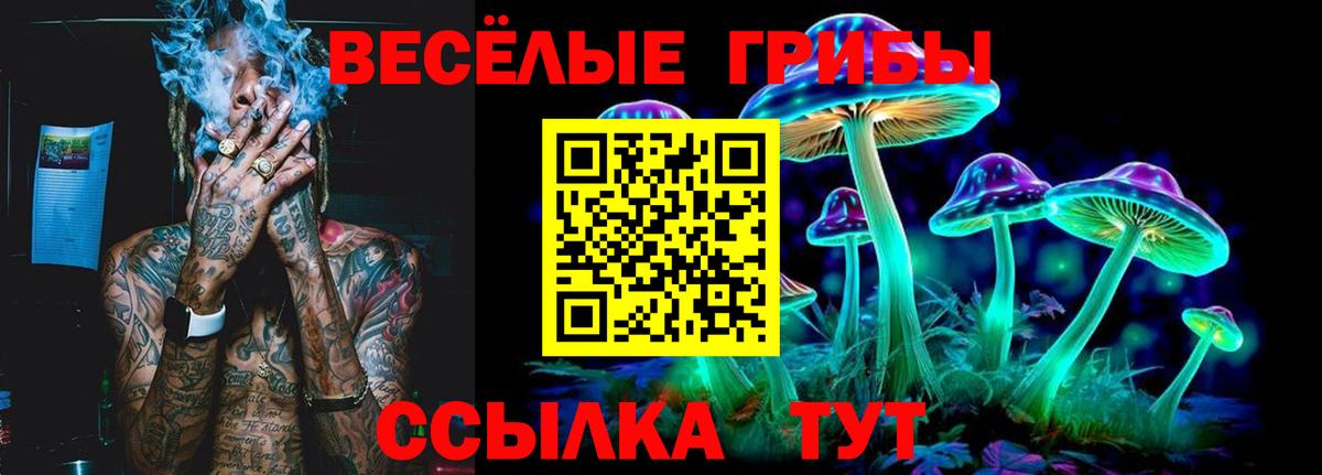 Анжеро-Судженск  Галлюциногенные грибы Magic Shrooms  Вход с VPN 